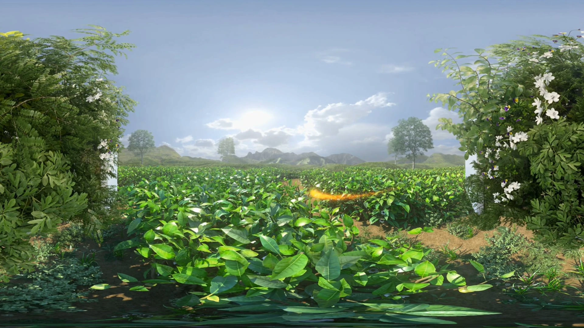 Innisfree VR Full 3D