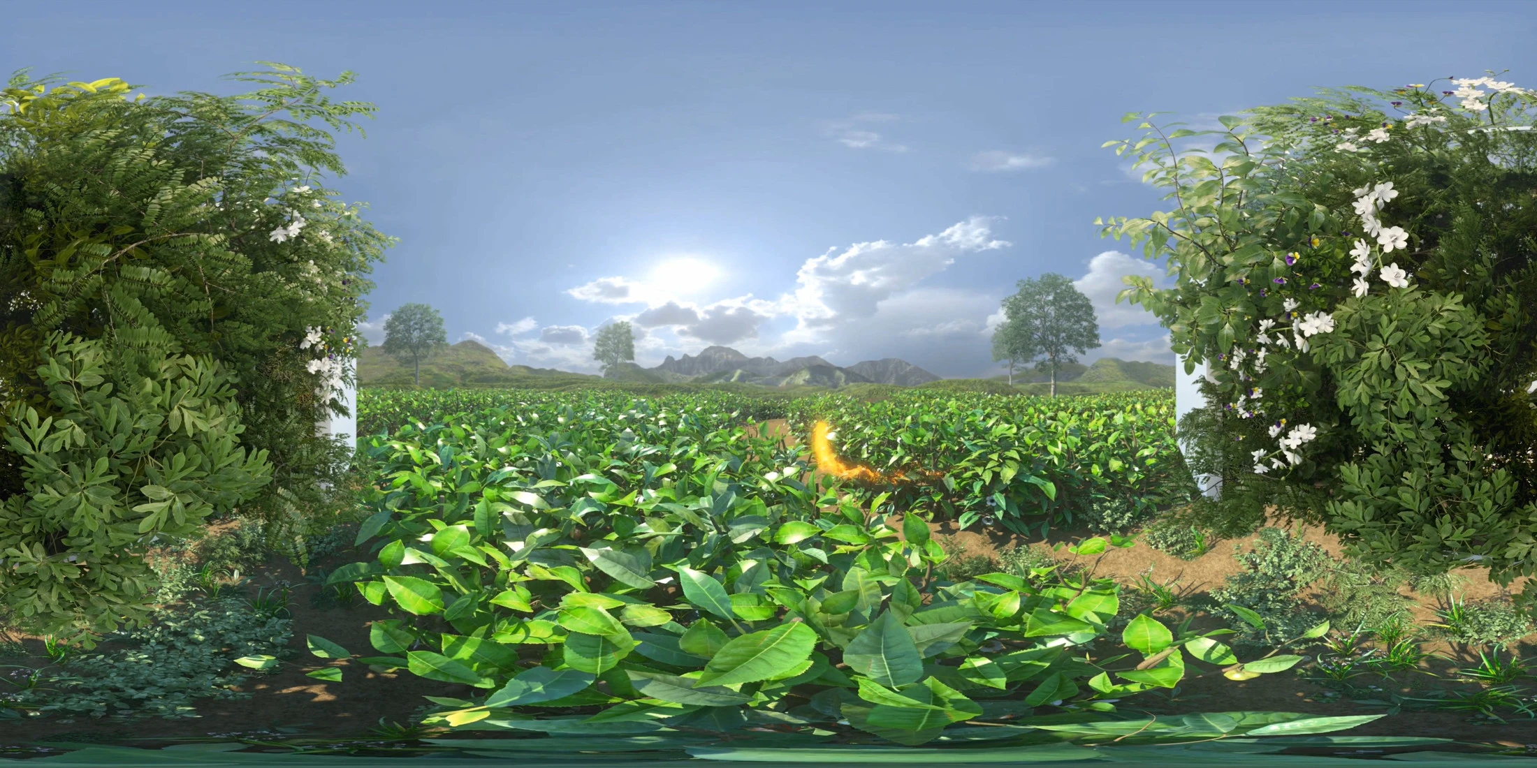 Innisfree VR Full 3D — 02